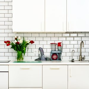Minimalistic concept kitchen remodel